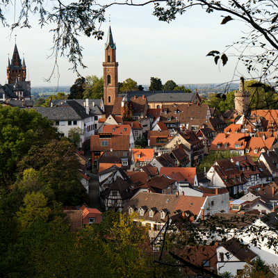 Blick auf die Altstadt vom Exotenwald