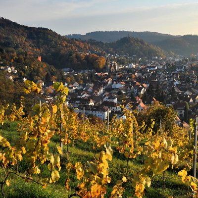 Weinheim von Norden