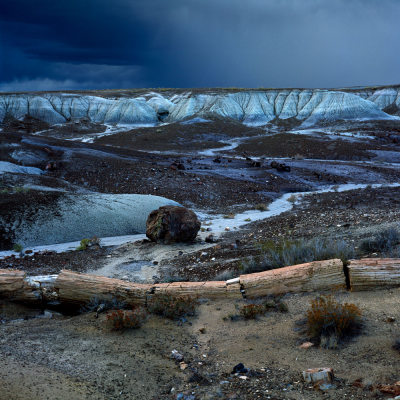 Petrified Forest
